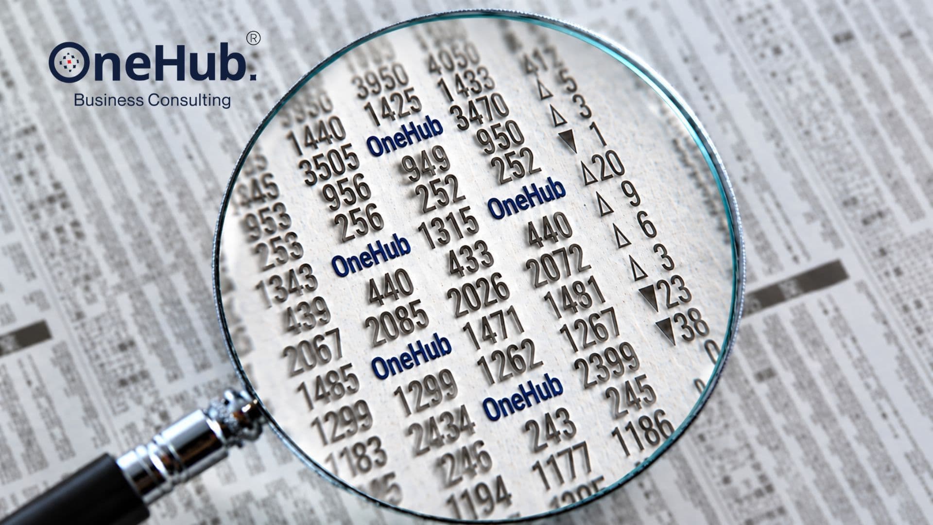 OneHub Business Consulting